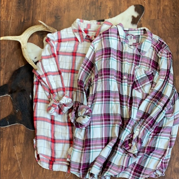 Bundle of 2 Ava & Viv button down shirts - Picture 1 of 7